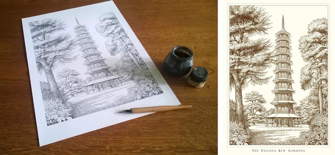 peter shaw line drawings